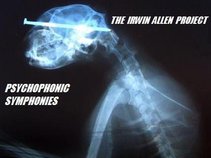 The Irwin Allen Project