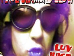 Image for Paul Diamond Blow