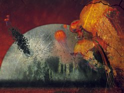 Image for Let the Trees Burn