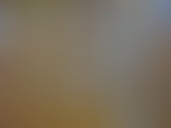 Copertina distrib digit