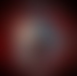 1343449695 prototype catalyst cover