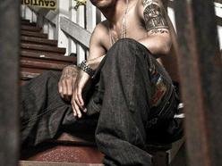 Image for Young Gully