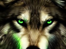 Pretty the Wolf