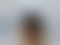 Img 9303