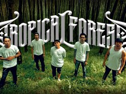 Tropical Forest