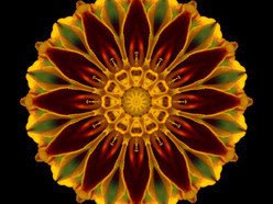 ReverbNation profile picture for @marigold