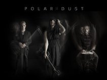 Polar Dust