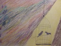 Free to Fly