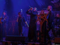 Insanity Reigns Supreme