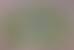 Concrete1 1280594176