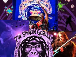 Image for Billy YoungBlood & The Smokin Gorillas