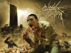 Cattle Decapitation