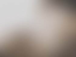 1f72bc8b 045b 4d20 9807 5ef687a96302