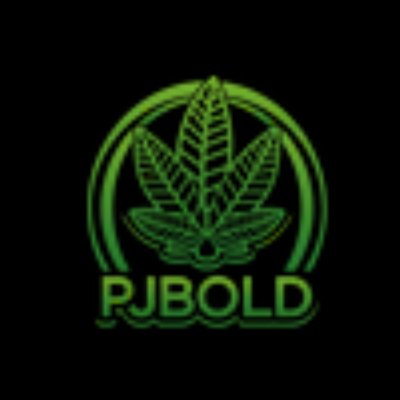 ReverbNation profile picture for @pjbold
