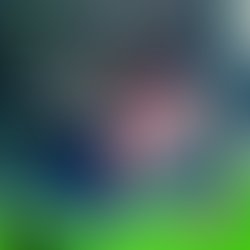 Fb img 1496343751419