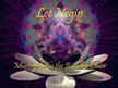 Lee Negin