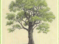 Image for Lemon Trio