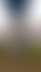 Artist 8678957 1733082572