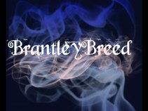 A.BRANTLEY aka (AVON BARKSDALE)  N.F.L. CARTEL