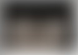 1331310704 lae at naples