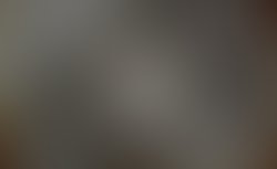 6f272d8a571cfbf39c21726b3a0d3b9ca9629185