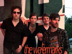 Image for The Watermarks
