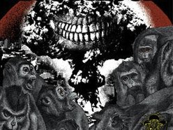 Image for Mico de Noche