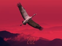 202