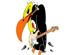 Bedpost Buzzard (OG)