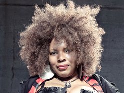 Image for Valori Steele