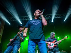 Image for The Katz Sass
