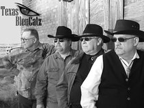 Texas Bleu Catz