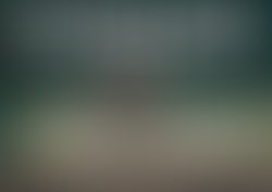 Img 7481