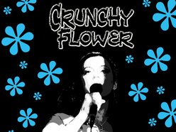 Image for Crunchy Flower
