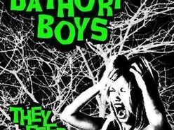 Image for Bathory Boys