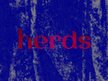 herds