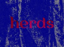 herds
