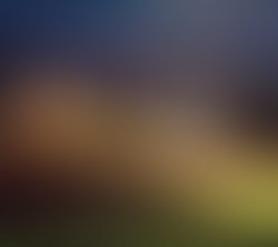Trip th light