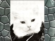 Tabby Lane & The Dogmatics