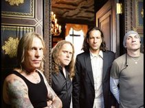 Gov't Mule