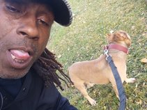 ShawnmelodyTron inc RFK