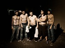 The Greys