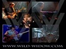 Wild Widow