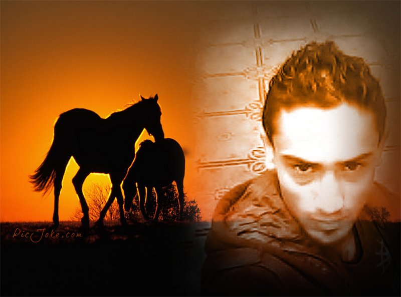 ReverbNation profile picture for @rayen