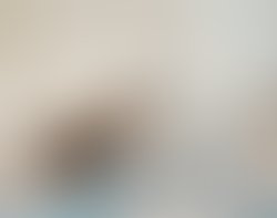 Ab1177b6 28c1 44f8 ad12 54708c03984f
