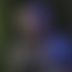 1451452544 artist 88121 1451452534