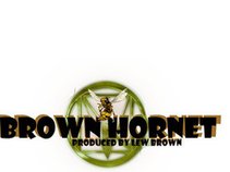 brown hornet