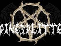 SpineSplitter