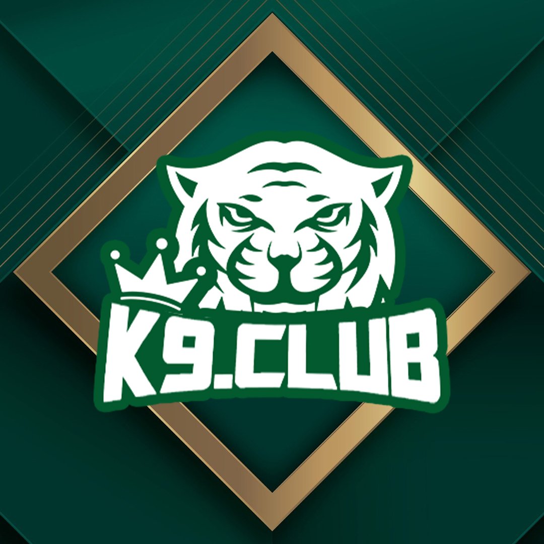ReverbNation profile picture for @k9club