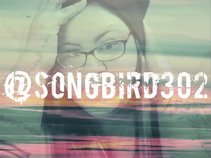 Marjie...SONGBIRD